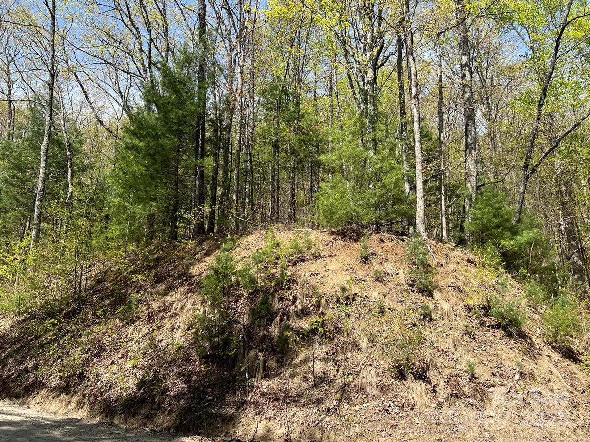 Franklin, NC 28734,00 Hidden TRL