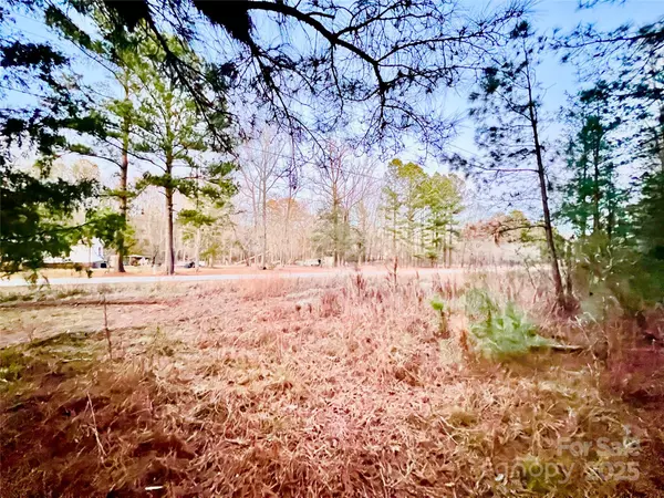 Great Falls, SC 29055,TBD Wateree RD