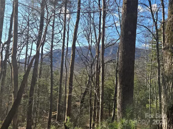 Lake Lure, NC 28746,Lot 60 Chinquapin RD