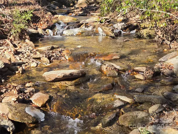 Lake Lure, NC 28746,Lot 60 Chinquapin RD
