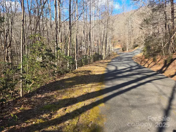 Lake Lure, NC 28746,Lot 60 Chinquapin RD