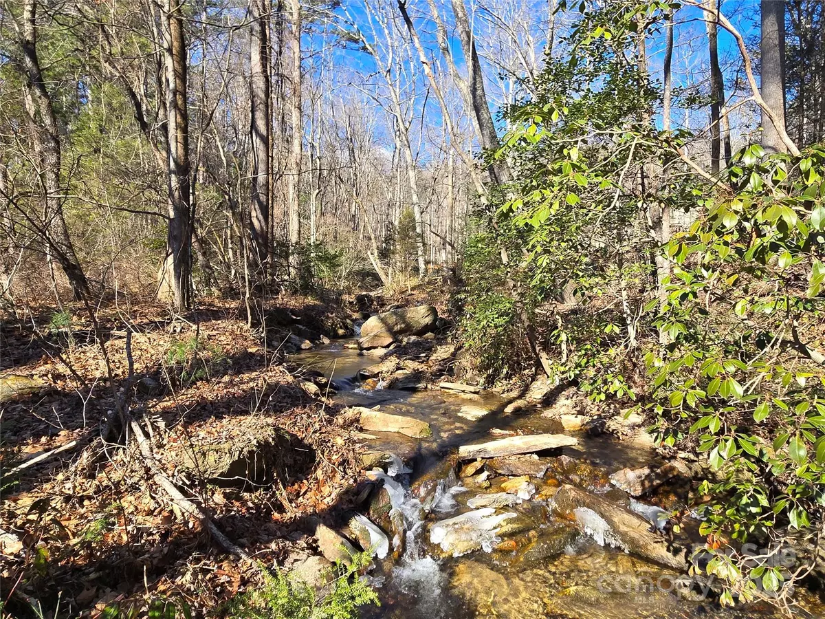 Lake Lure, NC 28746,Lot 60 Chinquapin RD