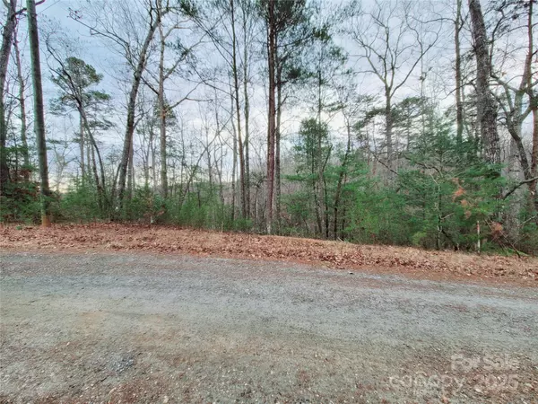 Lake Lure, NC 28746,000 Birddog BLVD #328