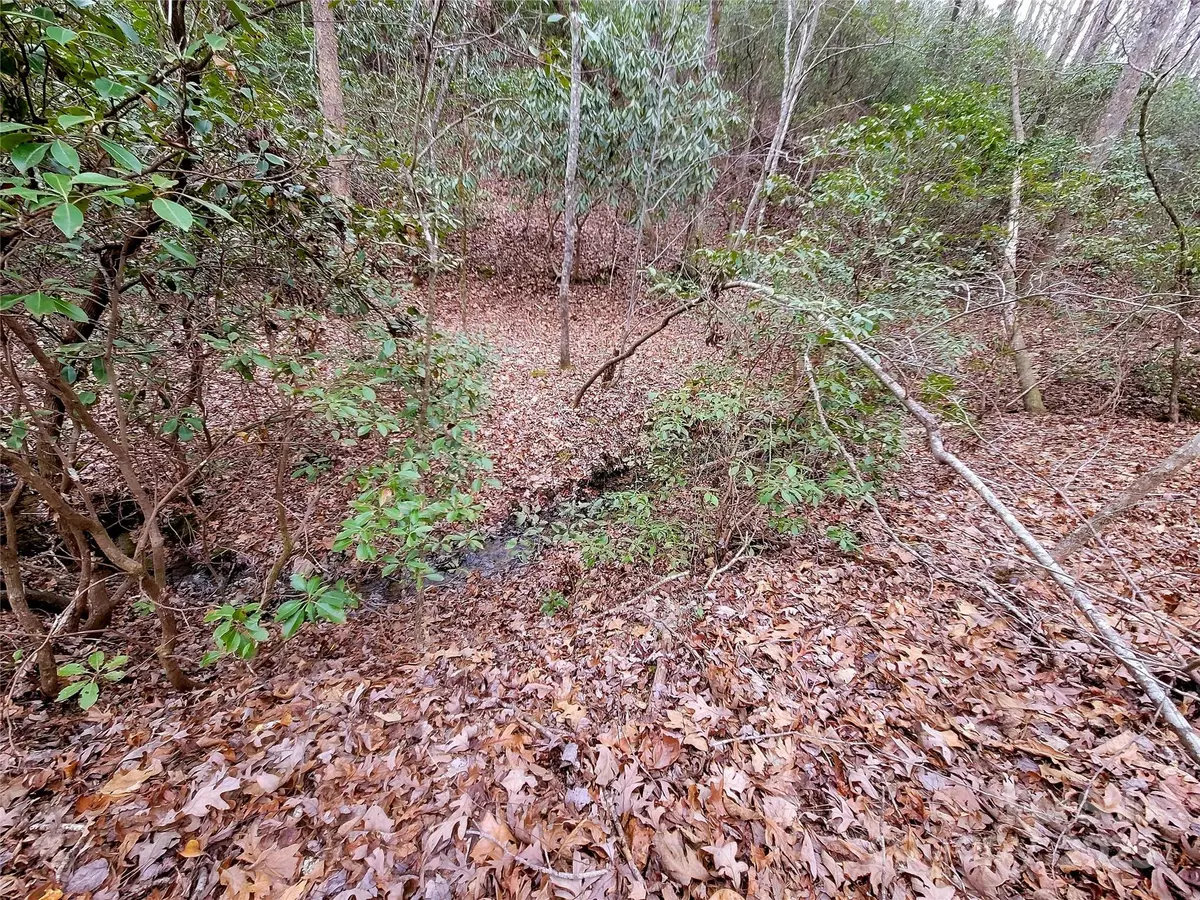 Lake Lure, NC 28746,000 Birddog BLVD #328