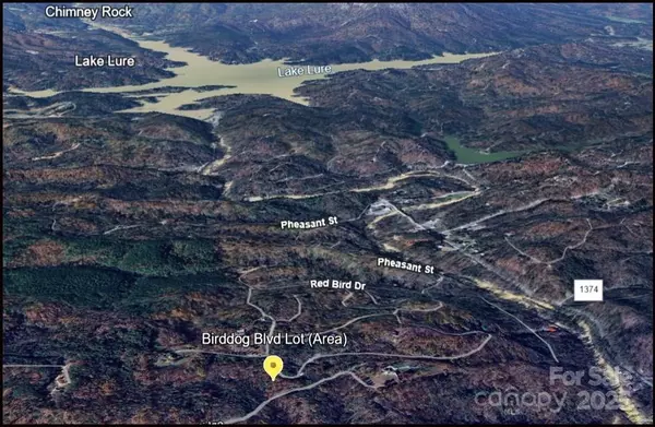 000 Birddog BLVD #328, Lake Lure, NC 28746