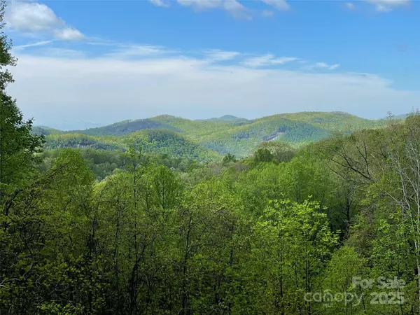 OFF Pine Mountain DR, Brevard, NC 28712