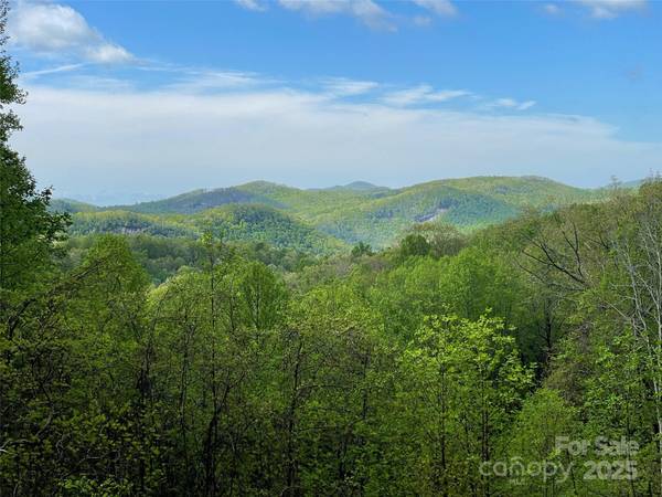 OFF Pine Mountain DR, Brevard, NC 28712