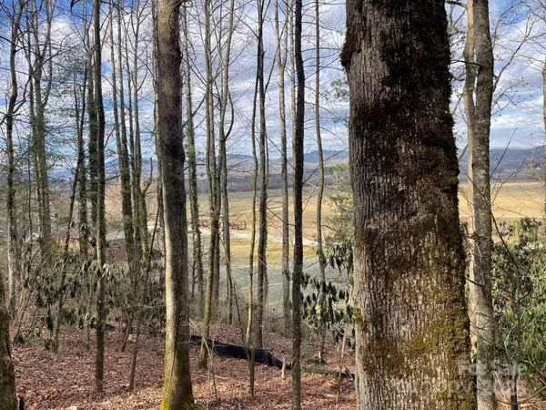 Pisgah Forest, NC 28768,Lot 4-R Middlemount RD