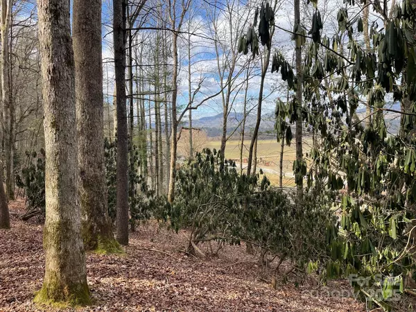 Lot 4-R Middlemount RD, Pisgah Forest, NC 28768