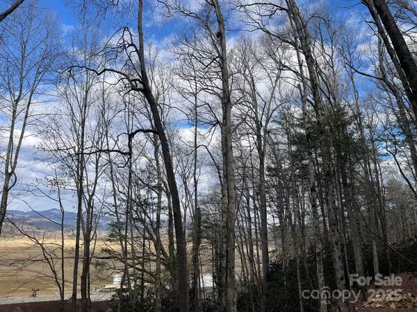 Pisgah Forest, NC 28768,Lot 4-R Middlemount RD