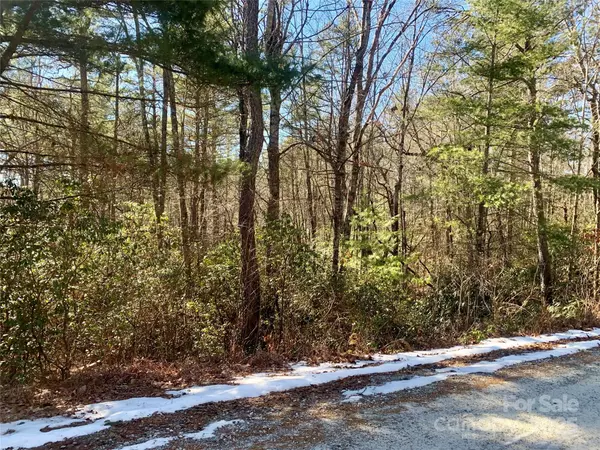 Lot 18 Oak Ridge DR #18, Brevard, NC 28712