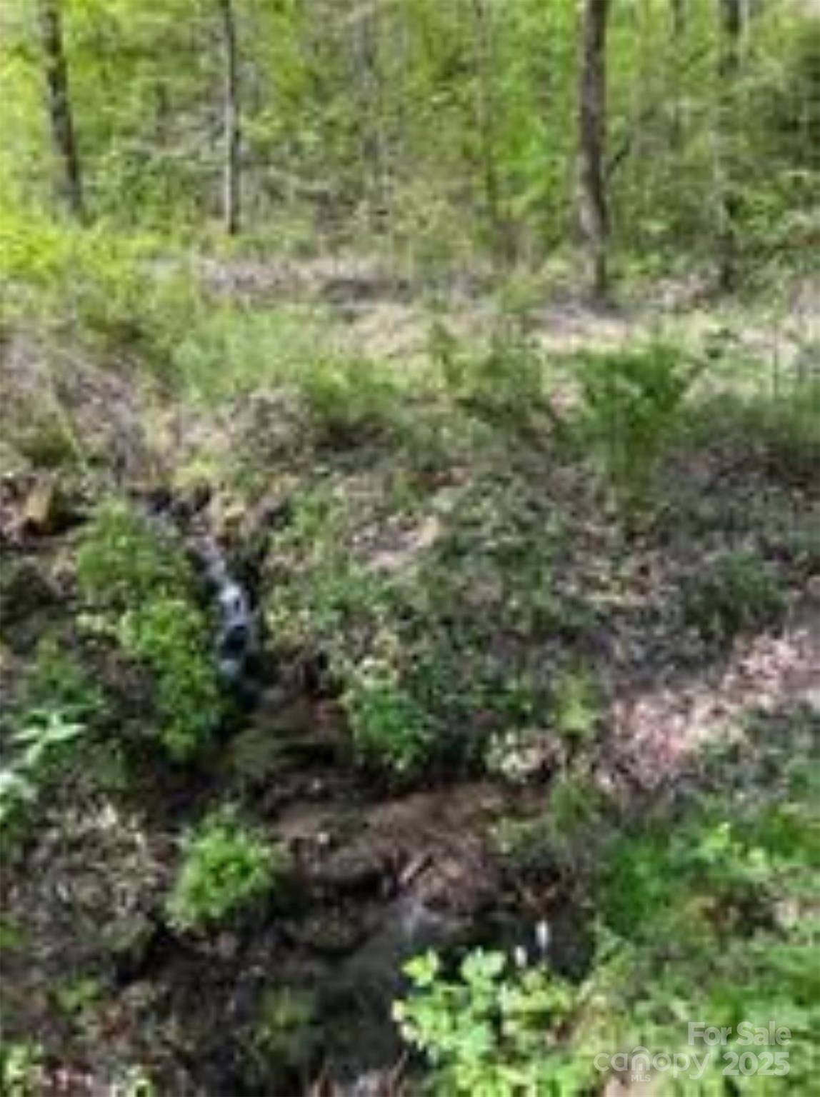 Whittier, NC 28789,TR 6 Little Bit TRL