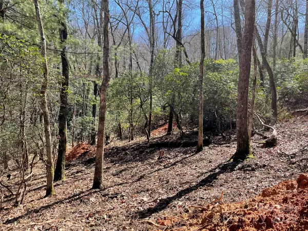 Horse Shoe, NC 28742,Lot 85-R N Running Deer TRL