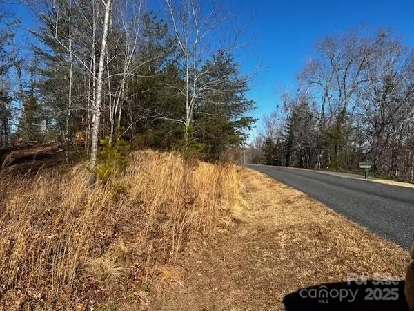 Mill Spring, NC 28756,Lot 37 N Mountain LN