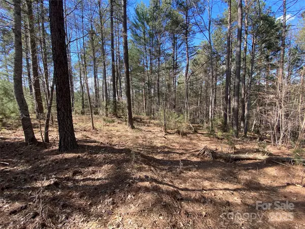 Connelly Springs, NC 28612,1156 Palomino Beach LN #134