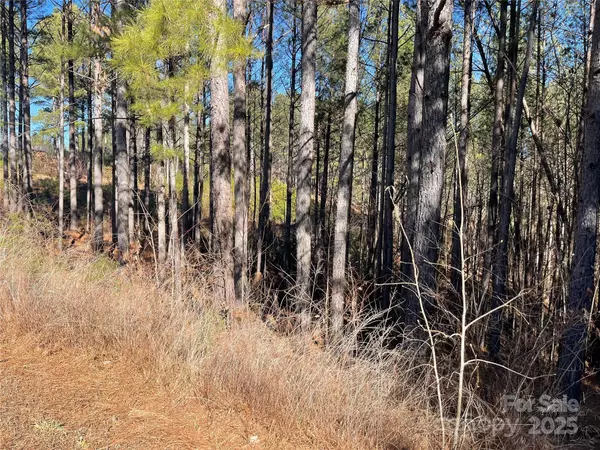 Valdese, NC 28655,109 Shortoff TRL