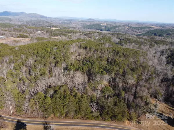 Lake Lure, NC 28746,00000 Bible School RD