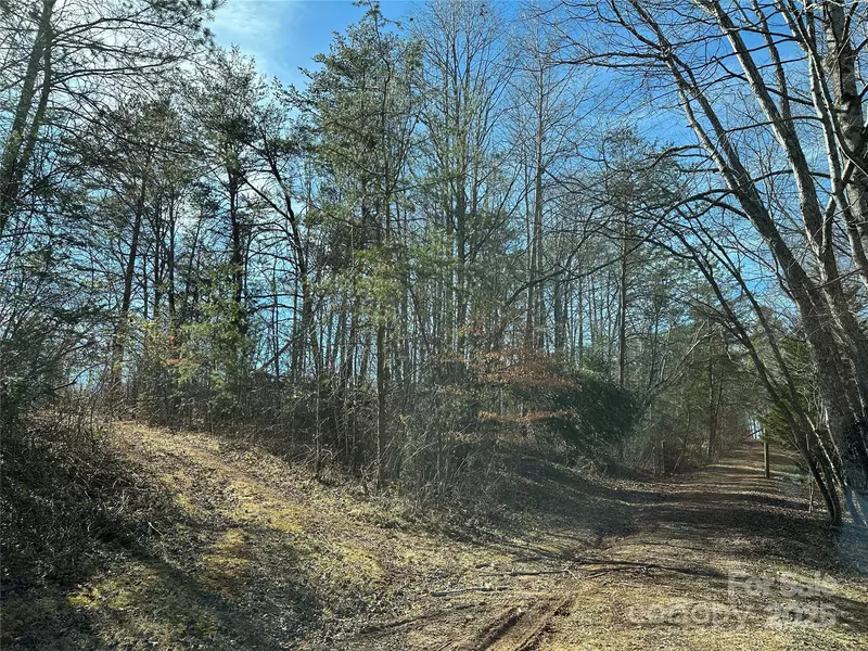 Tract 2 Off Timber RD, Marion, NC 28752