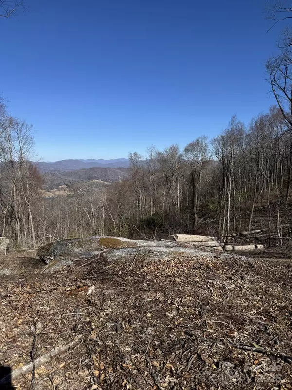 Hendersonville, NC 28792,0000 West Garden TRL #Lot 65