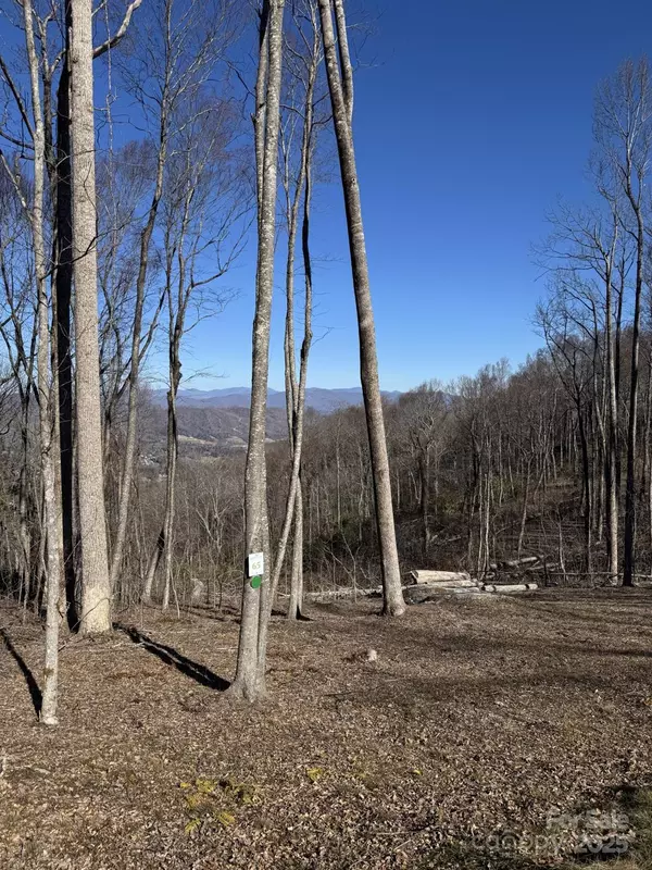 Hendersonville, NC 28792,0000 West Garden TRL #Lot 65