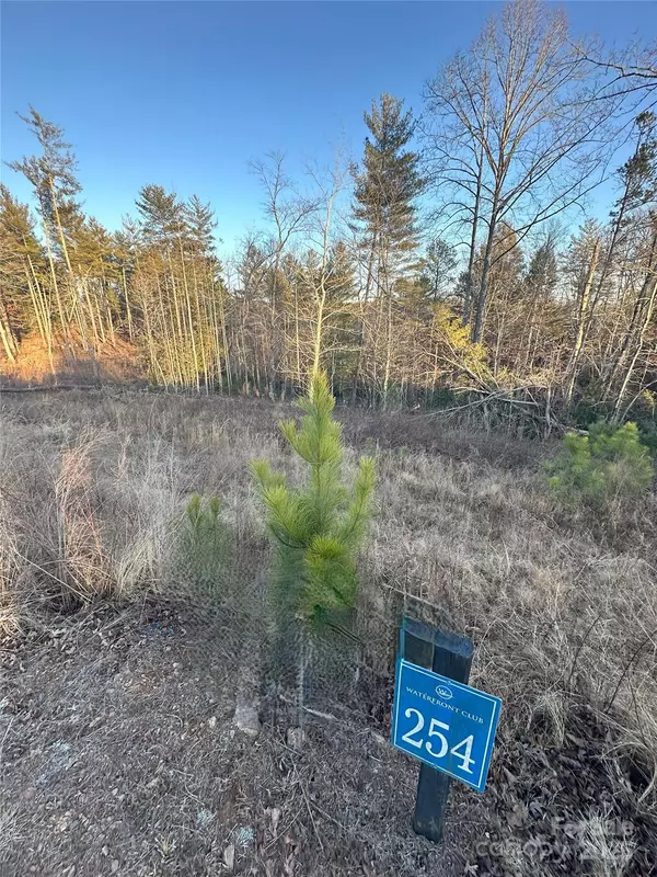 Granite Falls, NC 28630,1631 & TBD Scenic LN #253/254