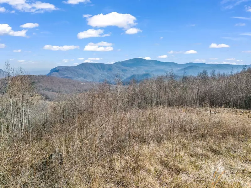 1229 Grand Oaks DR, Hendersonville, NC 28792