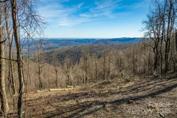 7596 Walkertop Mtn Overlook DR, Morganton, NC 28655