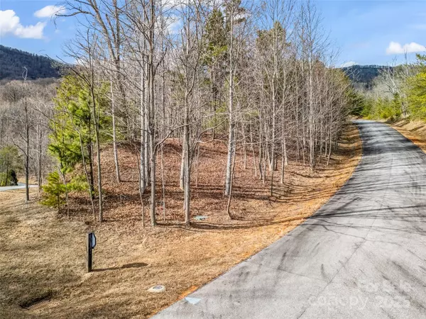 Mill Spring, NC 28756,Lot 136 Deep Gap Farm RD E