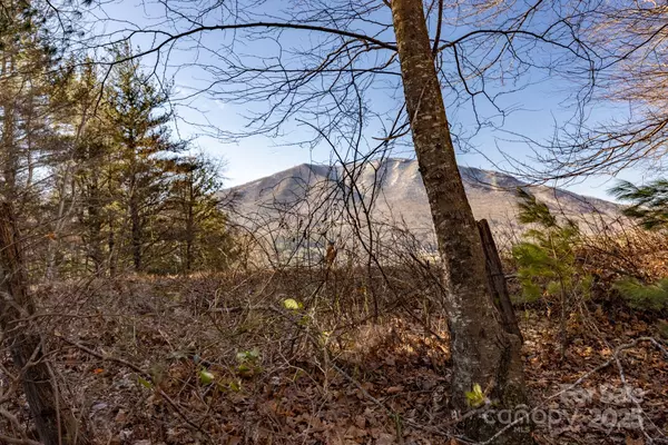 Jefferson, NC 28640,TBD Highway 221 RD