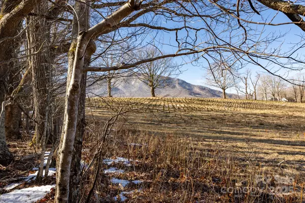 Jefferson, NC 28640,TBD Highway 221 RD