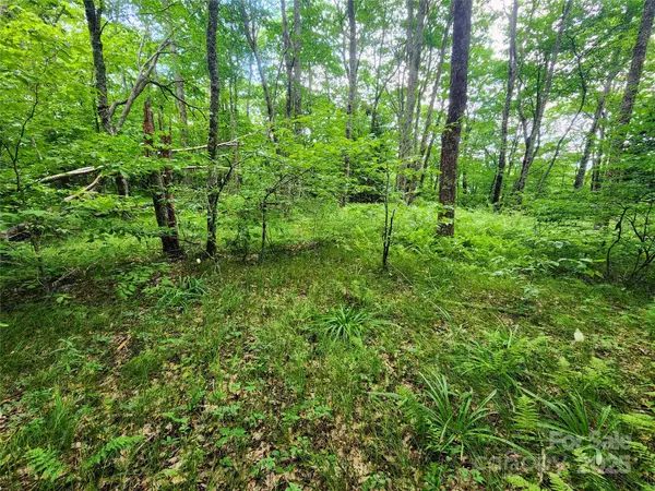 Sylva, NC 28779,99999 Spruce Patch LN