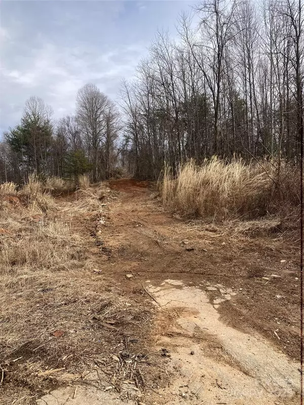 Flat Rock, NC 28731,1638 Continental Divide RD #1