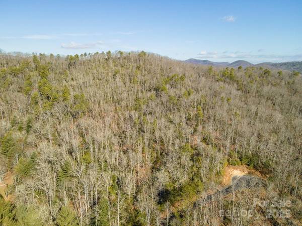 Horse Shoe, NC 28742,99999 Caddis LN #92