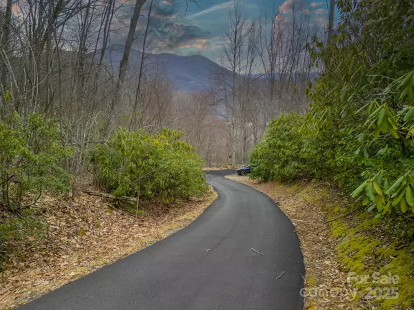 Maggie Valley, NC 28751,43 Blackbird LN #43 & part 44