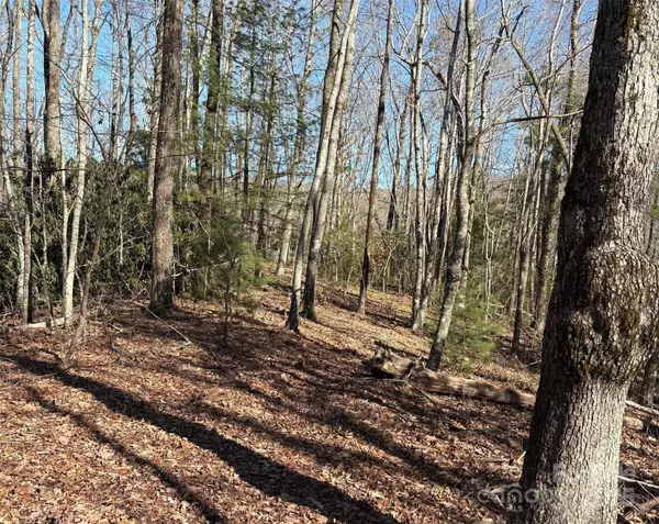 Rosman, NC 28772,lot #13 Devils Hole RD #13