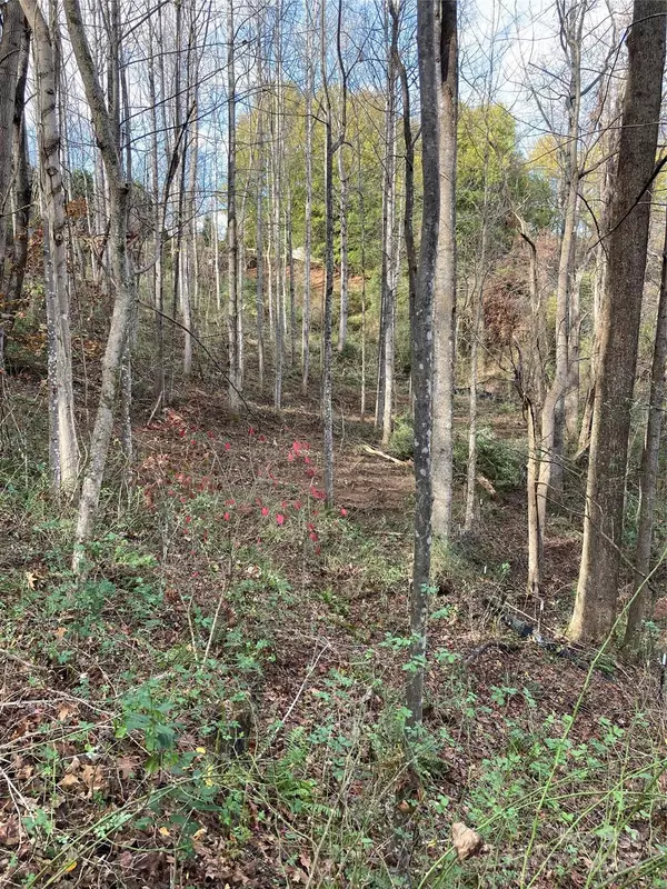 Flat Rock, NC 28731,1638 Continental Divide DR #2