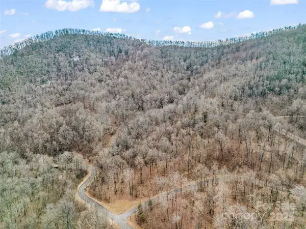 Mill Spring, NC 28756,2128 Harm Creek LOOP