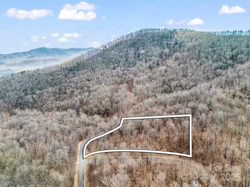 2128 Harm Creek LOOP, Mill Spring, NC 28756