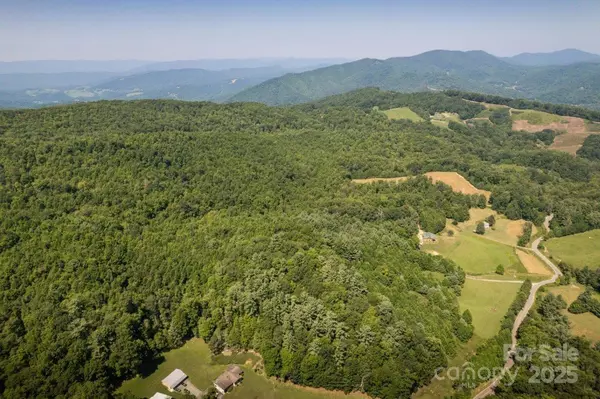 Elk Park, NC 28622,TBD Flat Springs RD