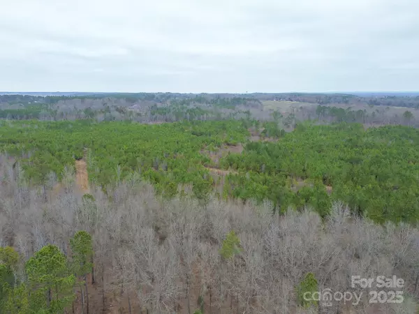 Pageland, SC 29728,00 White Store RD