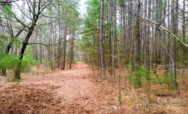 Pageland, SC 29728,00 White Store RD