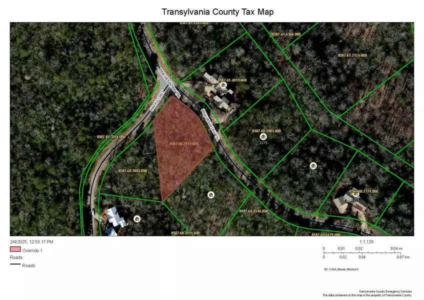 M92 Pine Mountain TRL #M92, Brevard, NC 28712