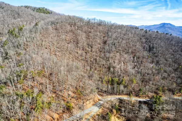 Waynesville, NC 28785,2200 Cove Creek RD