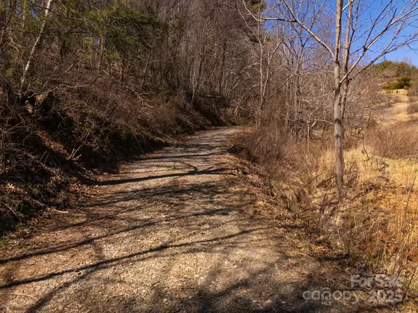 Candler, NC 28715,Lot 1 Murphy Cove RD