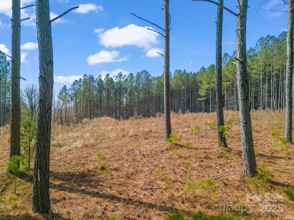 Ellenboro, NC 28040,0 Moore Mountain LN #3