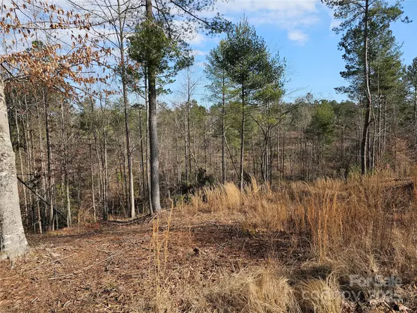 Connelly Springs, NC 28612,3318 Pyramid Peak TRL #212