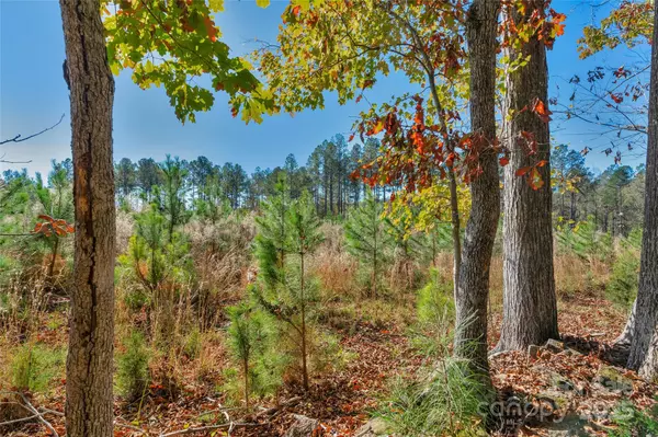 Heath Springs, SC 29058,0000 Beaker RD #5