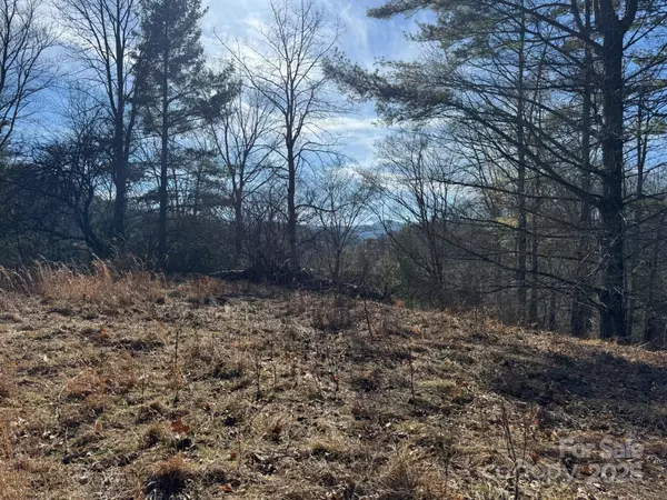 Vilas, NC 28692,TBD Palmers Peak RD #79-90