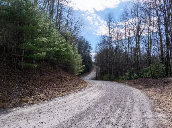 Brevard, NC 28712,Lot 56 Big Branch RD #56A