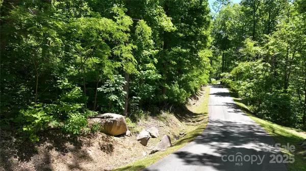 Chimney Rock, NC 28746,000 Cascada Vista DR #20&21